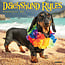 Dachshund Rules Calendar 2025 Mini