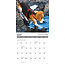 Beagle-Regeln Kalender 2025