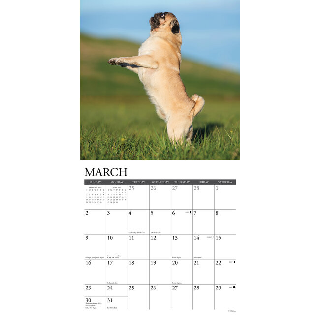 Calendrier De L'Avent 2024 Carlin - 24 Pendentifs En Acrylique 2D, Décoration Noël, Cadeau Pour Amoureux Des Chiens