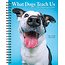 What Dogs Teach Us Agenda 2025