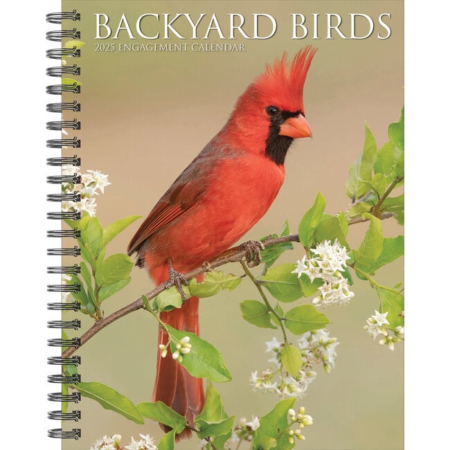 Willow Creek Agenda 2025 pour les oiseaux de jardin