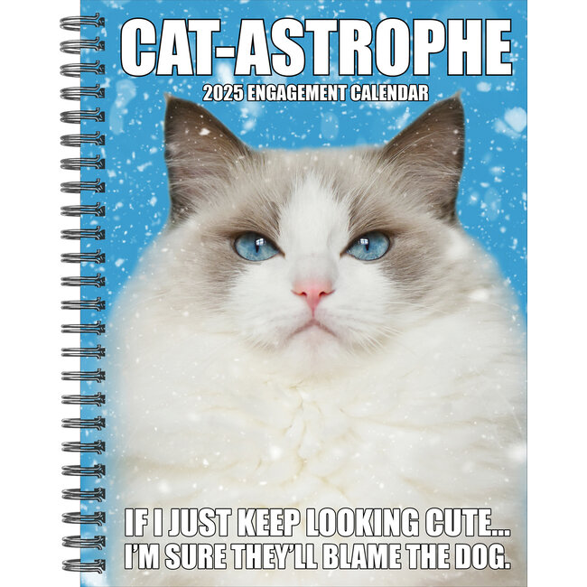 Agenda 2025 de Cat-Astrophe