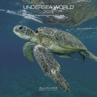 Allaluna Underwater World Calendar 2025