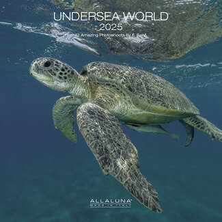 Allaluna Unterwasserwelt Kalender 2025