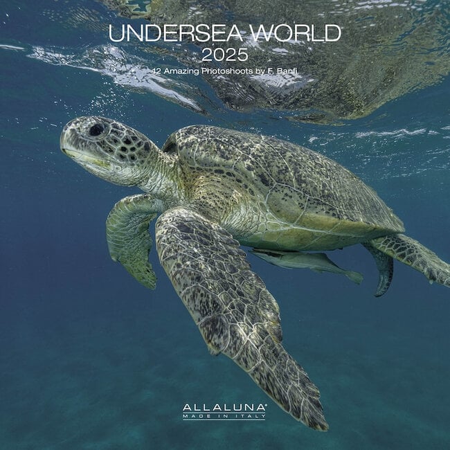Underwater World Calendar 2025