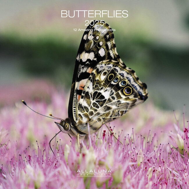 Butterfly Calendar 2025
