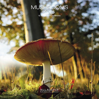 Allaluna Mushrooms Calendar 2025