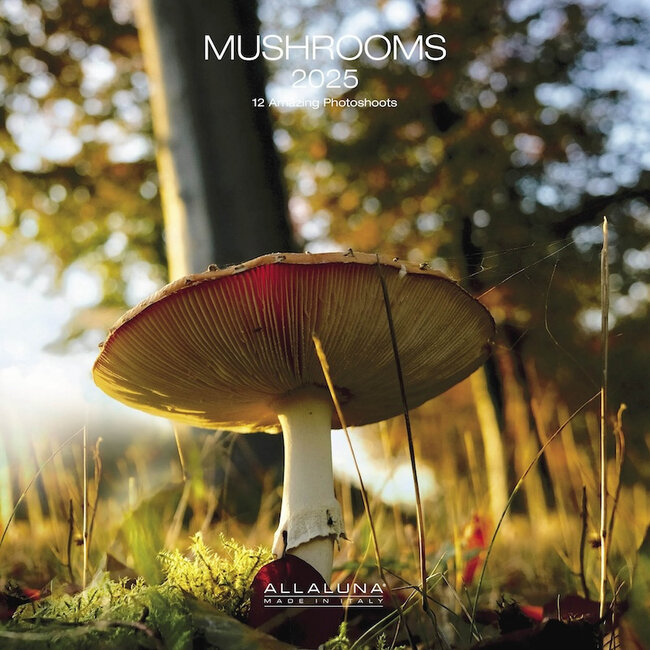 Allaluna Mushrooms Kalender 2025