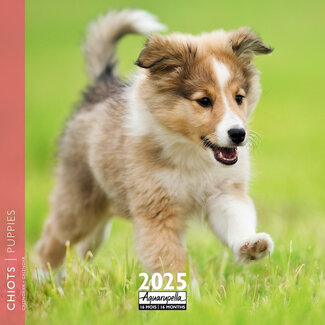 Aquarupella Puppies Calendar 2025