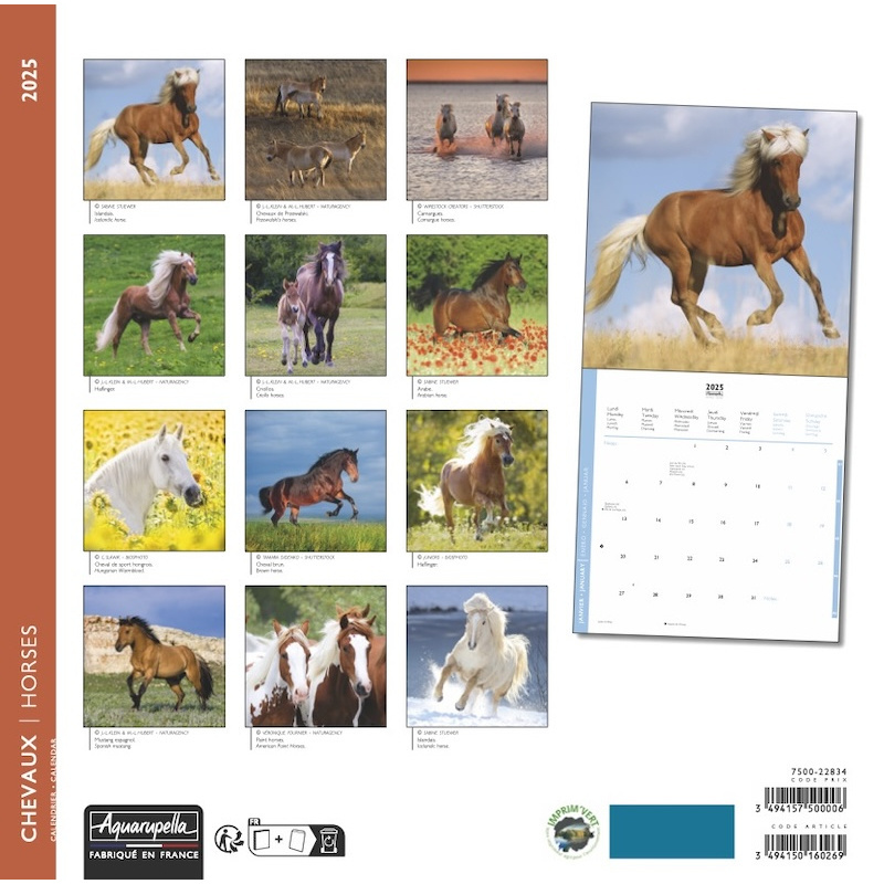 Horses Calendar 2025 Buy Order easily online