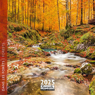 Aquarupella Forests Calendar 2025