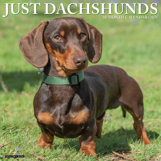 Willow Creek Dachshund-Kalender 2025