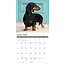 Dachshund-Kalender 2025