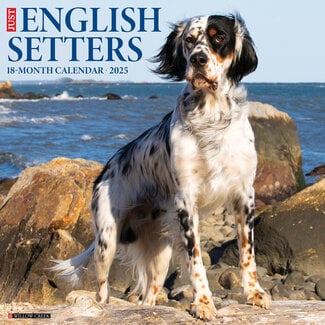 Willow Creek English Setter Calendar 2025