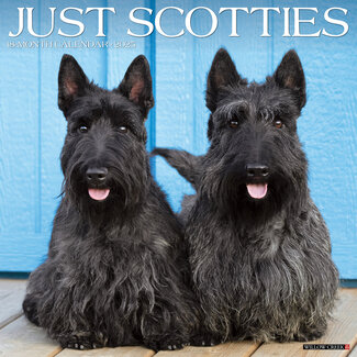 Willow Creek Scottish Terrier Calendar 2025