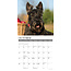 Scottish Terrier Calendar 2025