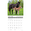 Why Horses Do That Calendar 2025