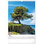 Trees Kalender 2025