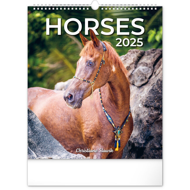 Calendrier des chevaux 2025