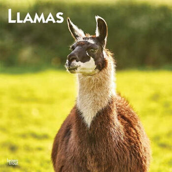 Calendario de llamas