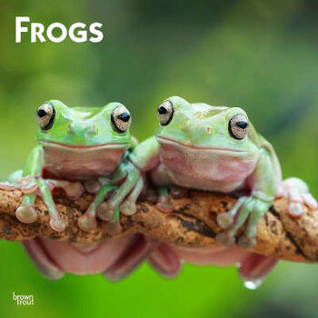 Frog calendar