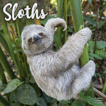 Sloth calendar