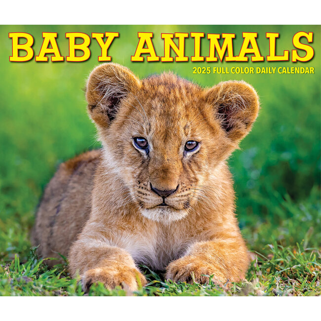 Willow Creek Calendario arrancable 2025 Baby Animals En caja