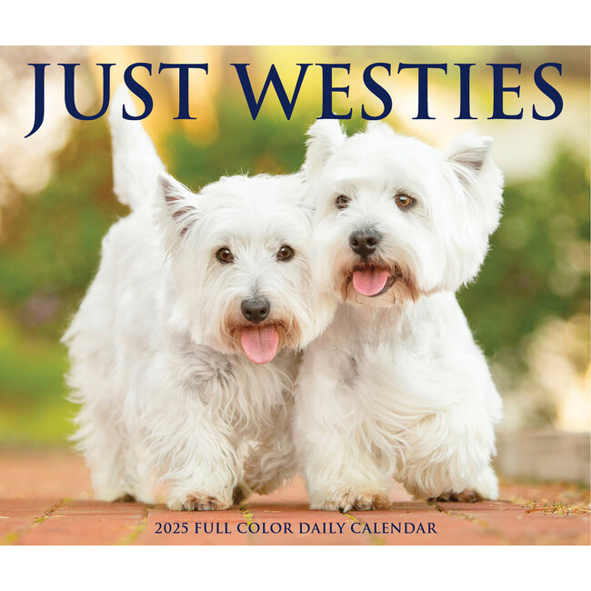 West Highland White Terrier tear-off calendar 2025 Boxed