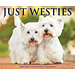 Willow Creek West Highland White Terrier calendrier détachable 2025 Boxed