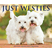 Willow Creek West Highland White Terrier tear-off calendar 2025 Boxed