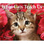 What Cats Teach Us tear-off calendar 2025 Boxed