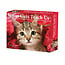 What Cats Teach Us tear-off calendar 2025 Boxed