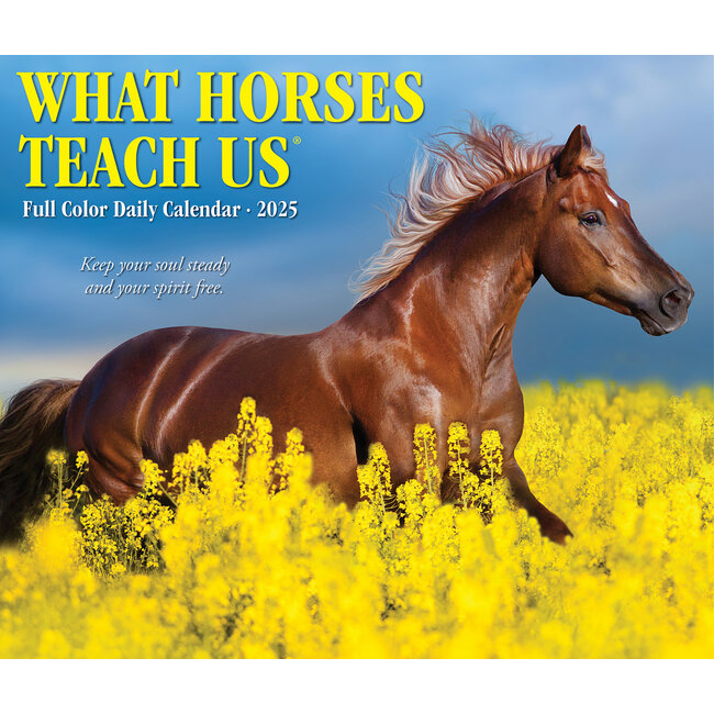 Willow Creek What Horses Teach Us tear-off calendar 2025 Boxed