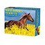 What Horses Teach Us tear-off calendar 2025 Boxed