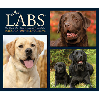 Willow Creek Labrador Retriever Abreißkalender 2025 Boxed