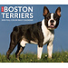 Willow Creek Calendrier détachable Boston Terrier 2025 Boxed