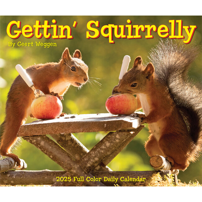 Gettin' Squirrelly tear-off calendar 2025 Boxed