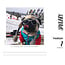 Doug the Pug Scheurkalender 2025 Boxed