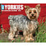 Willow Creek Yorkshire Terrier tear-off calendar 2025 Boxed