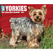 Willow Creek Yorkshire Terrier tear-off calendar 2025 Boxed