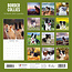 Border Collie Calendar 2025