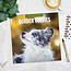 Calendrier Border Collie 2025