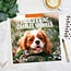 Calendrier Cavalier King Charles Spaniel 2025