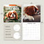 Calendrier Cavalier King Charles Spaniel 2025