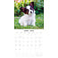 Cute Puppies Kalender 2025