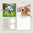 Cute Puppies Kalender 2025