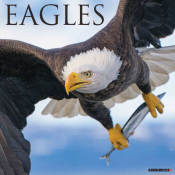 Sea Eagle calendar