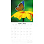 Calendario Mariposa 2025