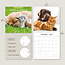 Cats and Dogs Kalender 2025