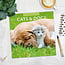 Cats and Dogs Kalender 2025